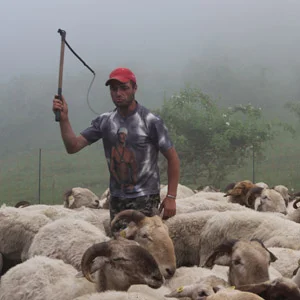 San Bernardo di Conio copia 2.jpg