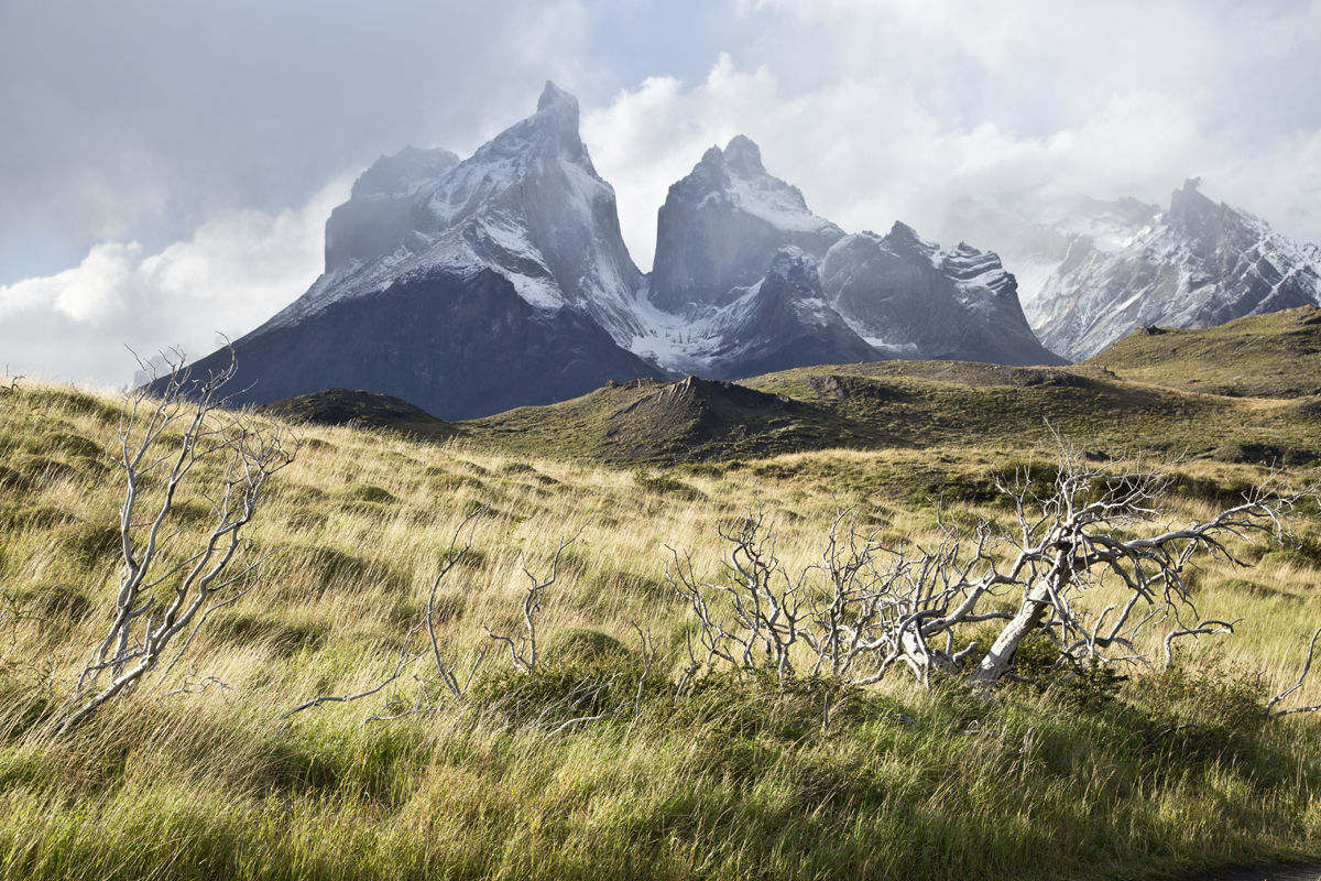 Los Cuernos del Paine, nel Parco Torres del Paine