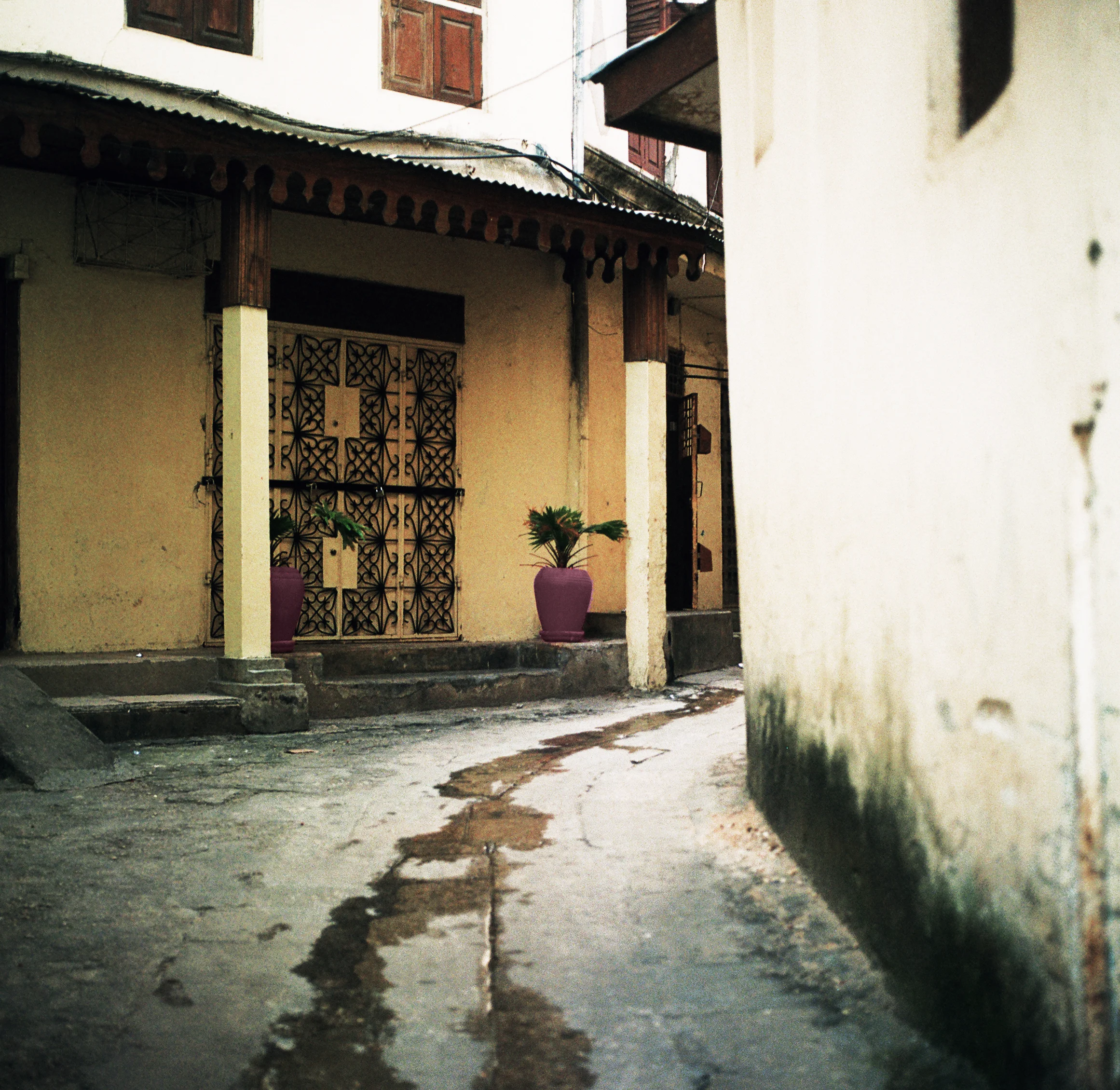 N. Zanzibar 120 11.jpg