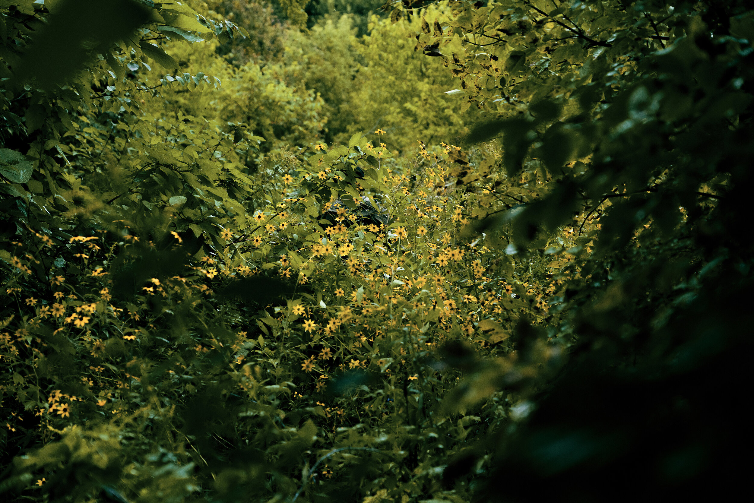 Minneapolis 2019 26b.JPG