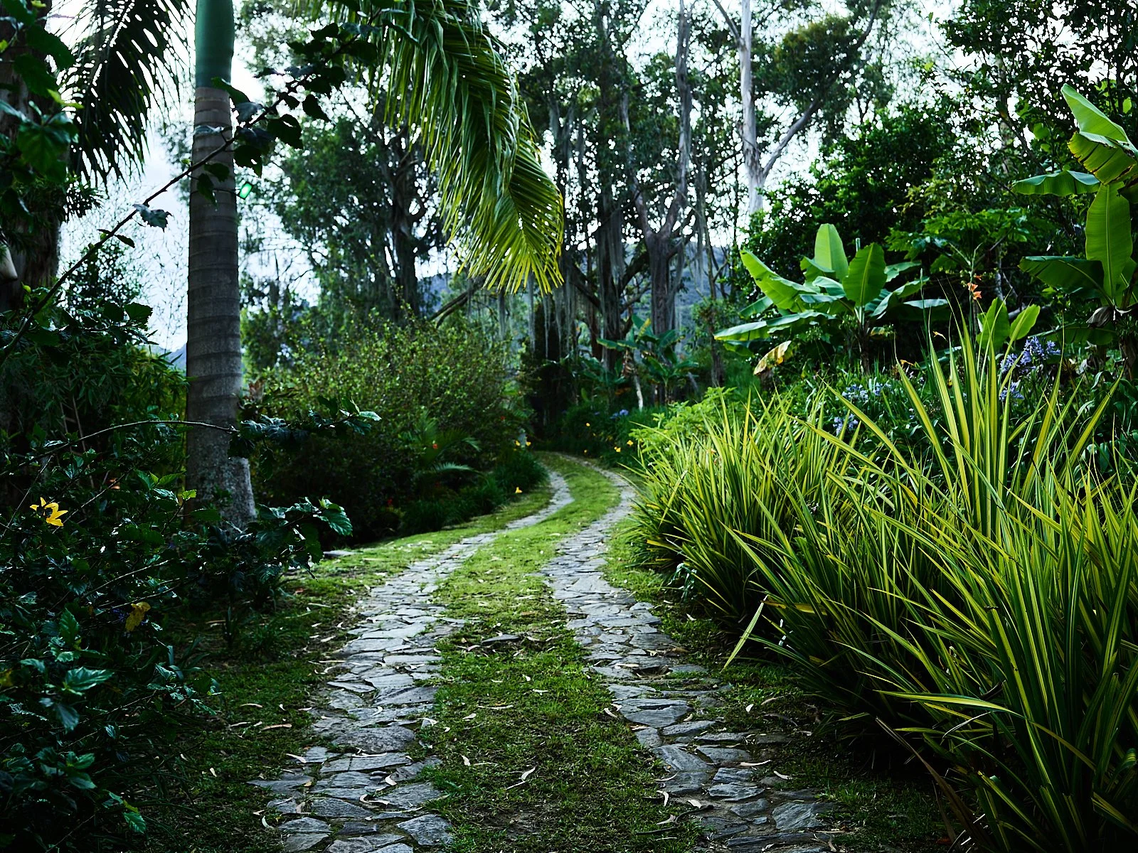Medellin_May2025_223.jpg