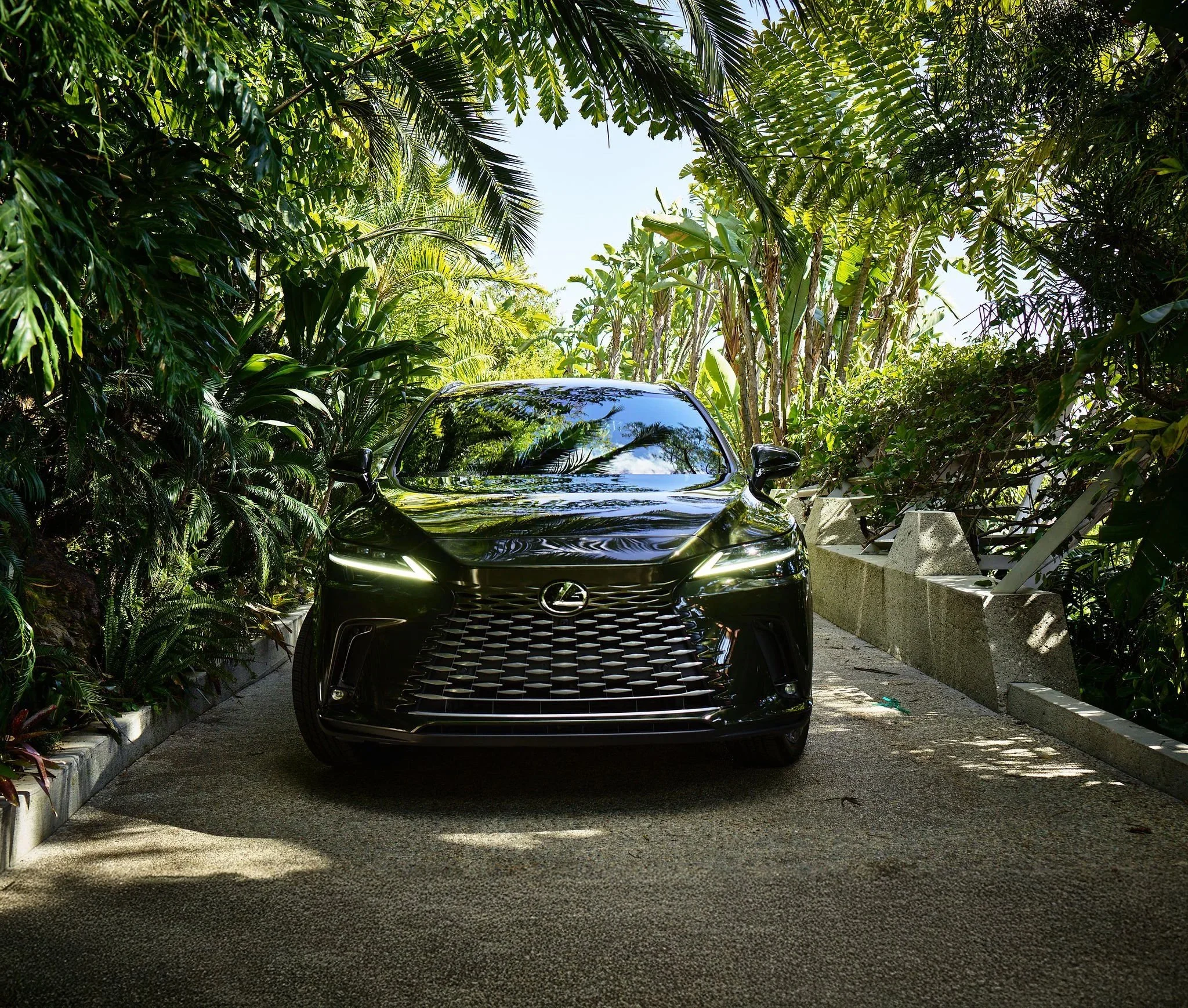 108_LEXUS_RX_BM_FRONT_FASCIA_CF038966 copy.jpg