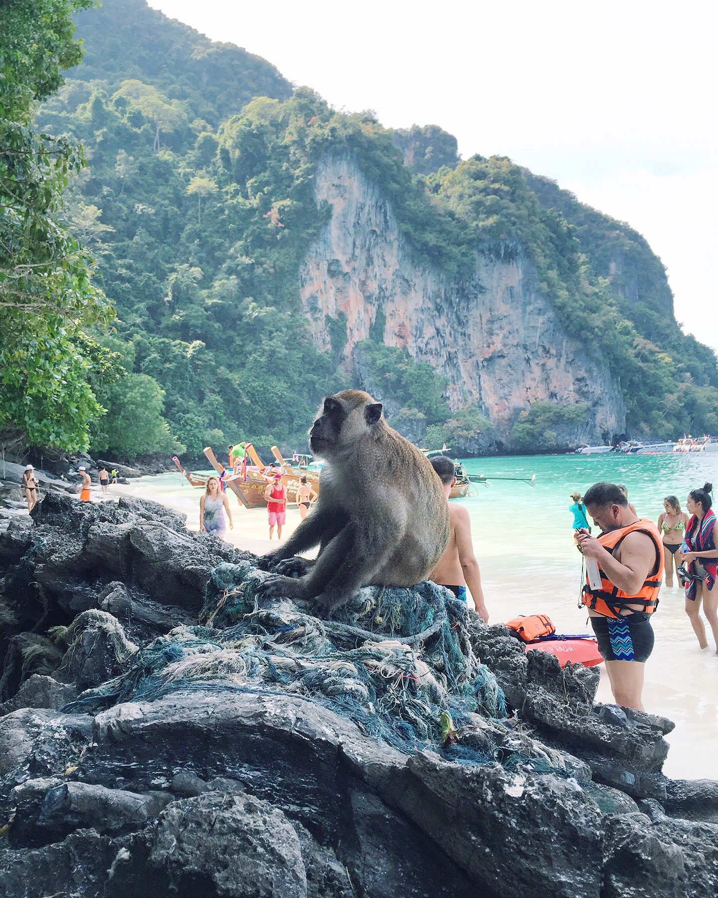  Monkey beach in the Phi Phi Islands 