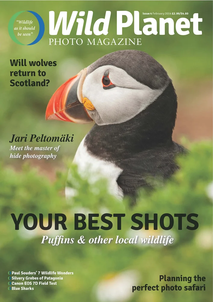 Cover of Wild Planet Photo Magazine