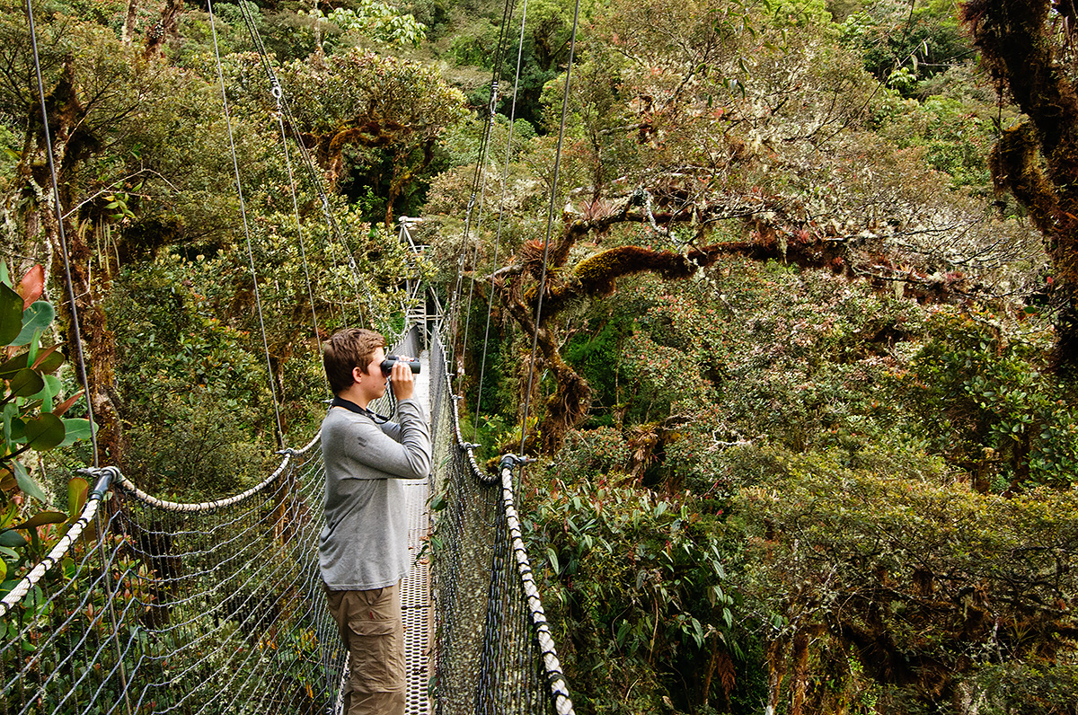 Looking for grey-breasted mountain-toucans (unsuccessfully) in the cloud forests of Peru