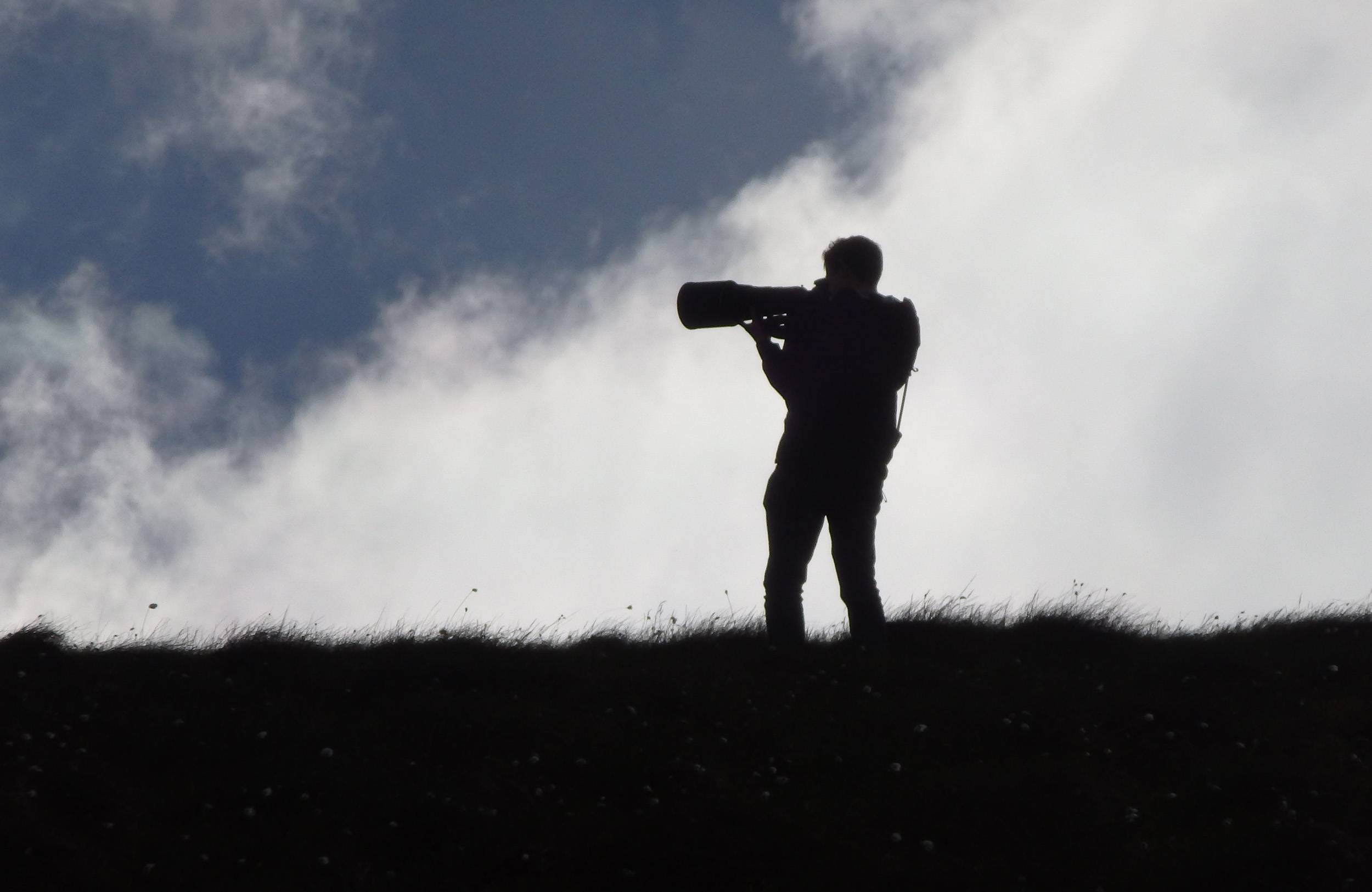 Photographing breeding waders on the moorlands of northeast England