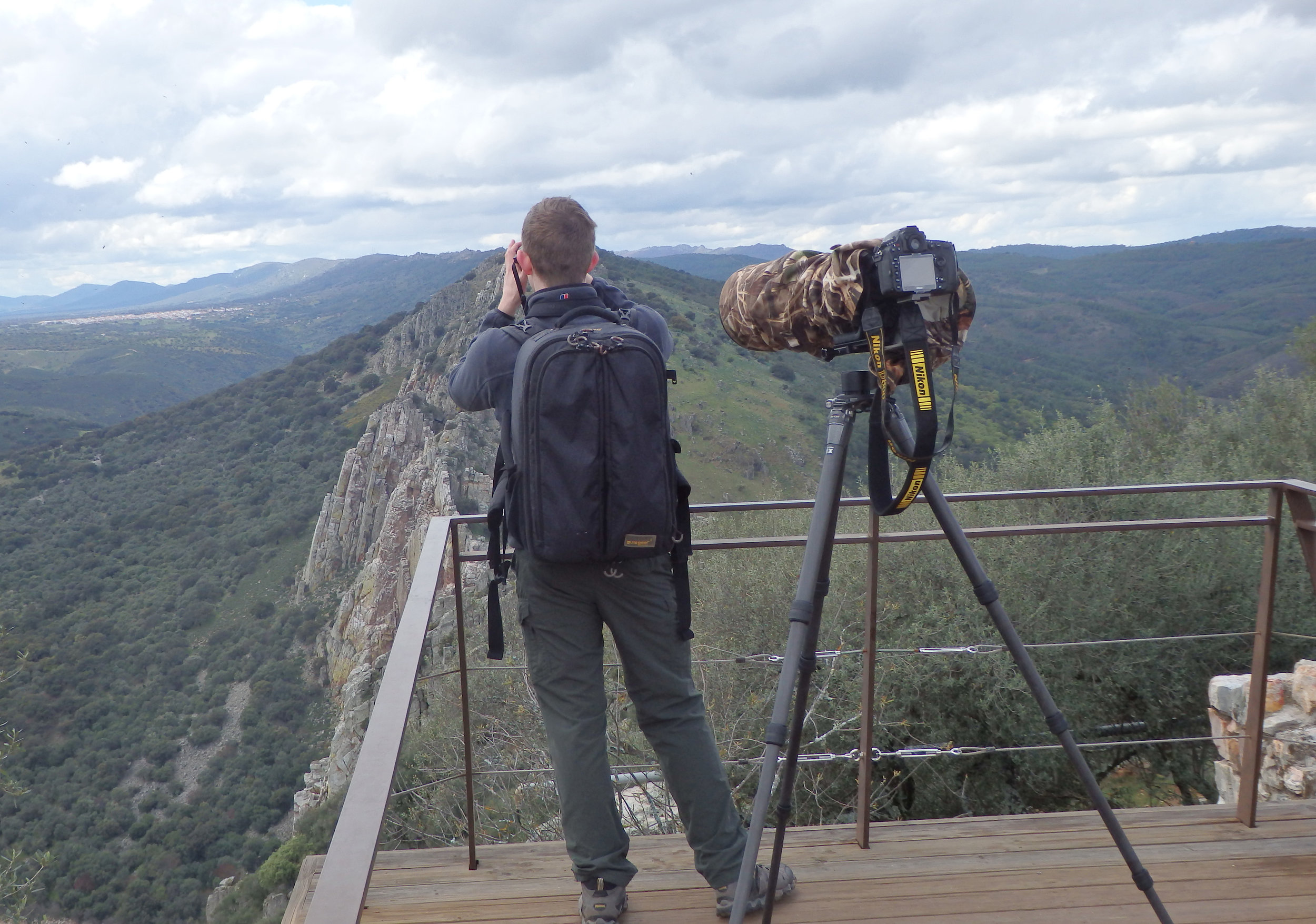 Photographing vultures in Monfragüe National Park, Spain