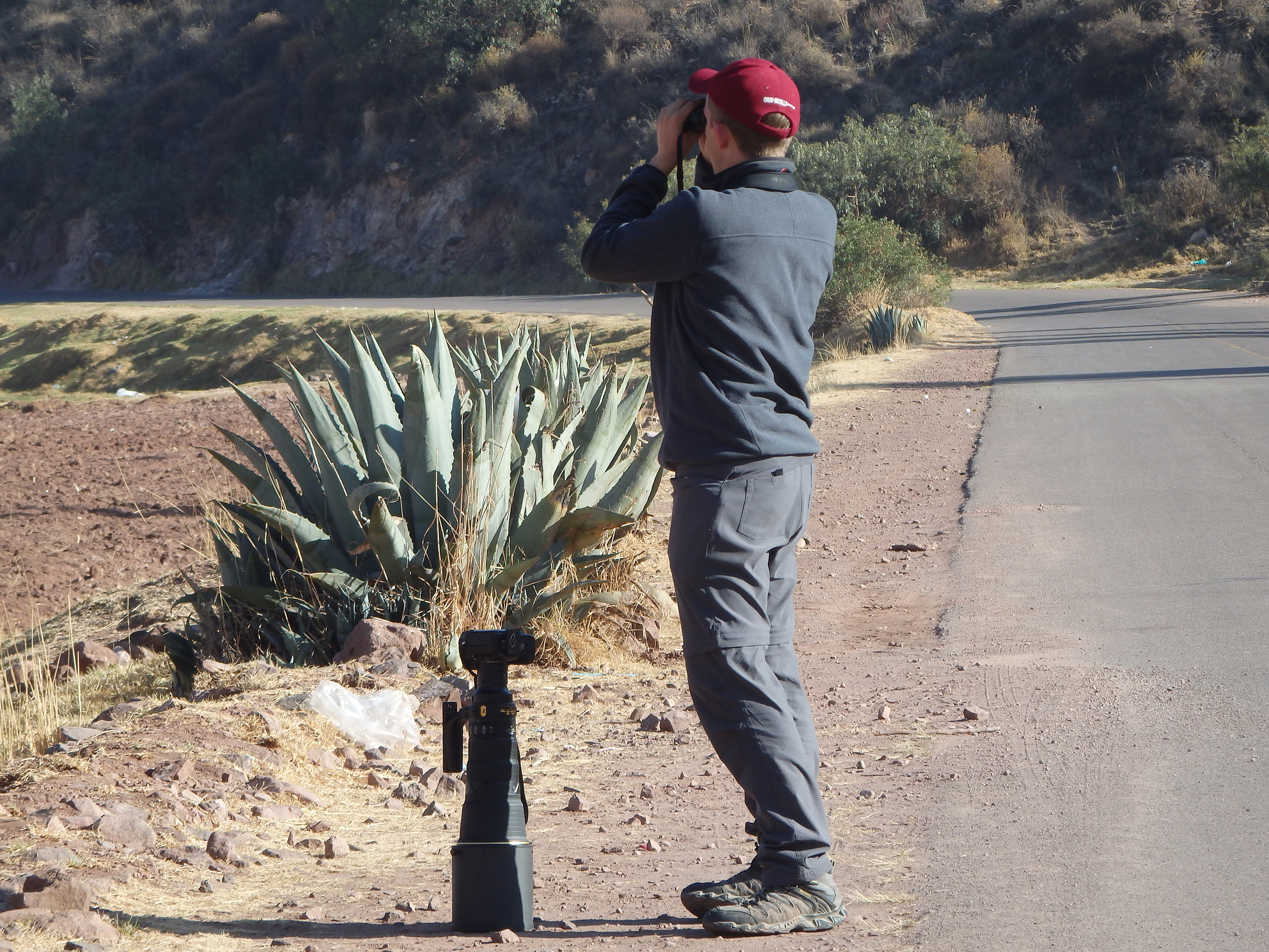 Searching for birds in the Peruvian Andes