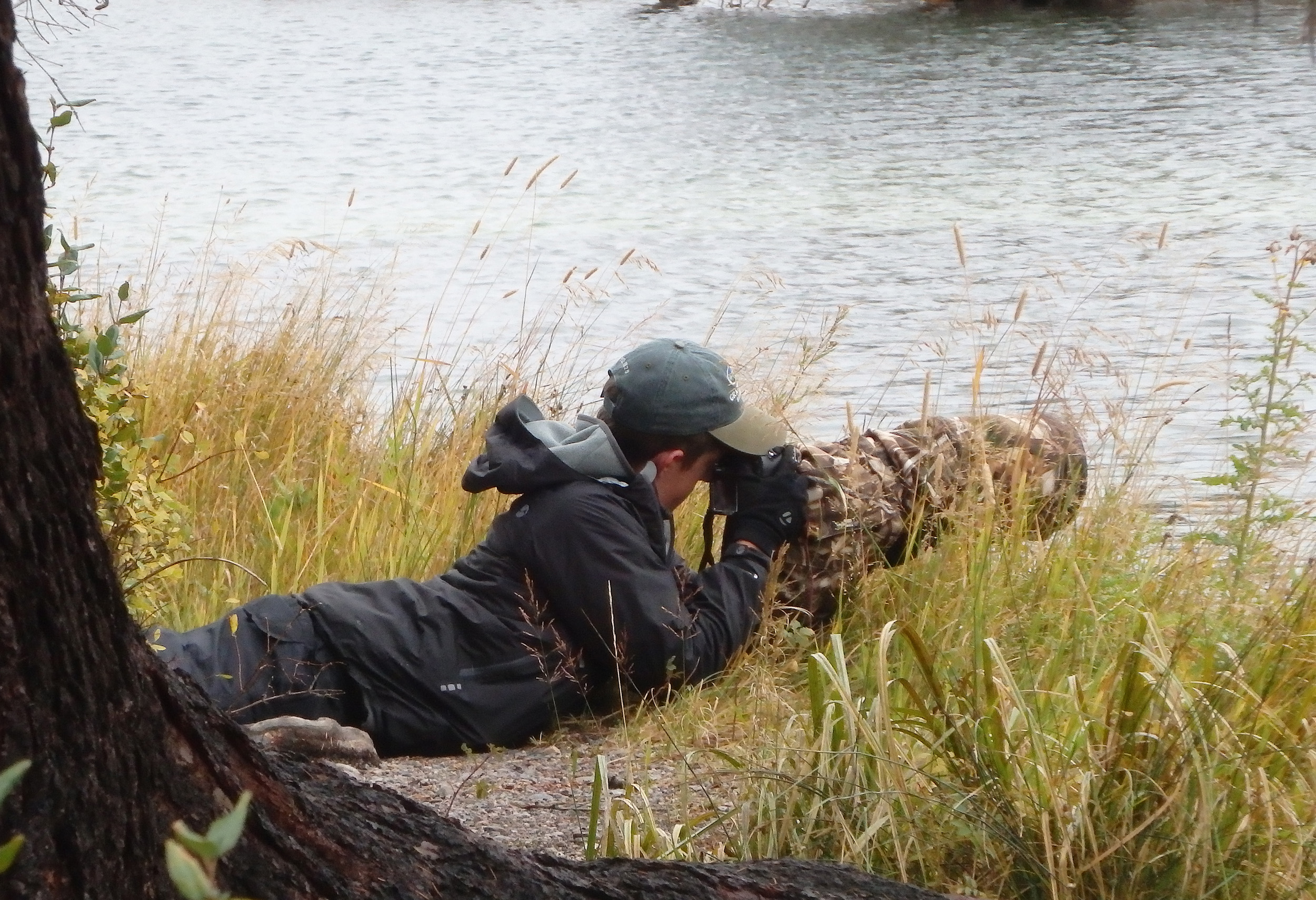 Waiting for beavers in Grand Teton National Park