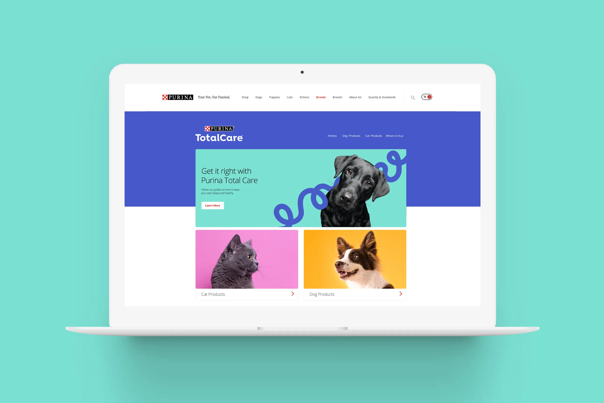 TotalCare_Awards_6.jpg