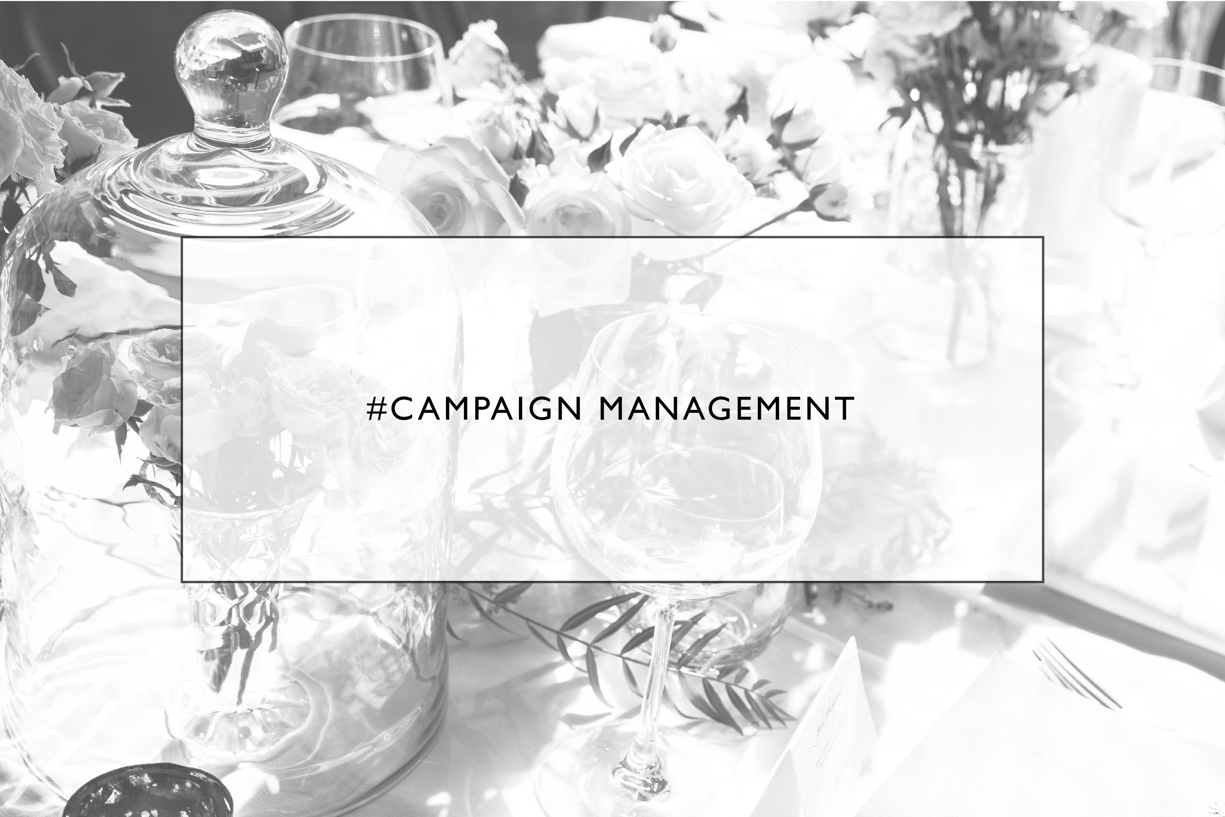 Social And Media Campaign Management-01.png