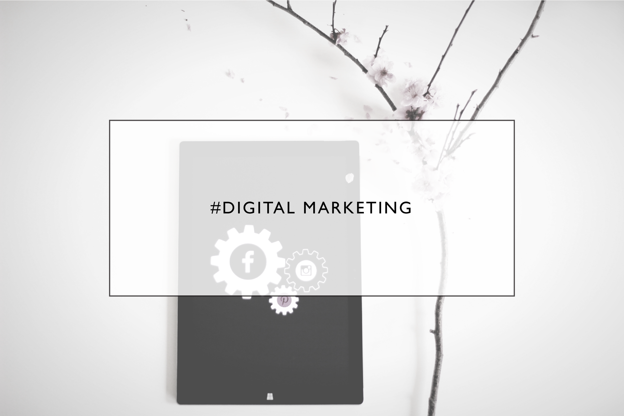 Social And Media Digital Marketing-01.png