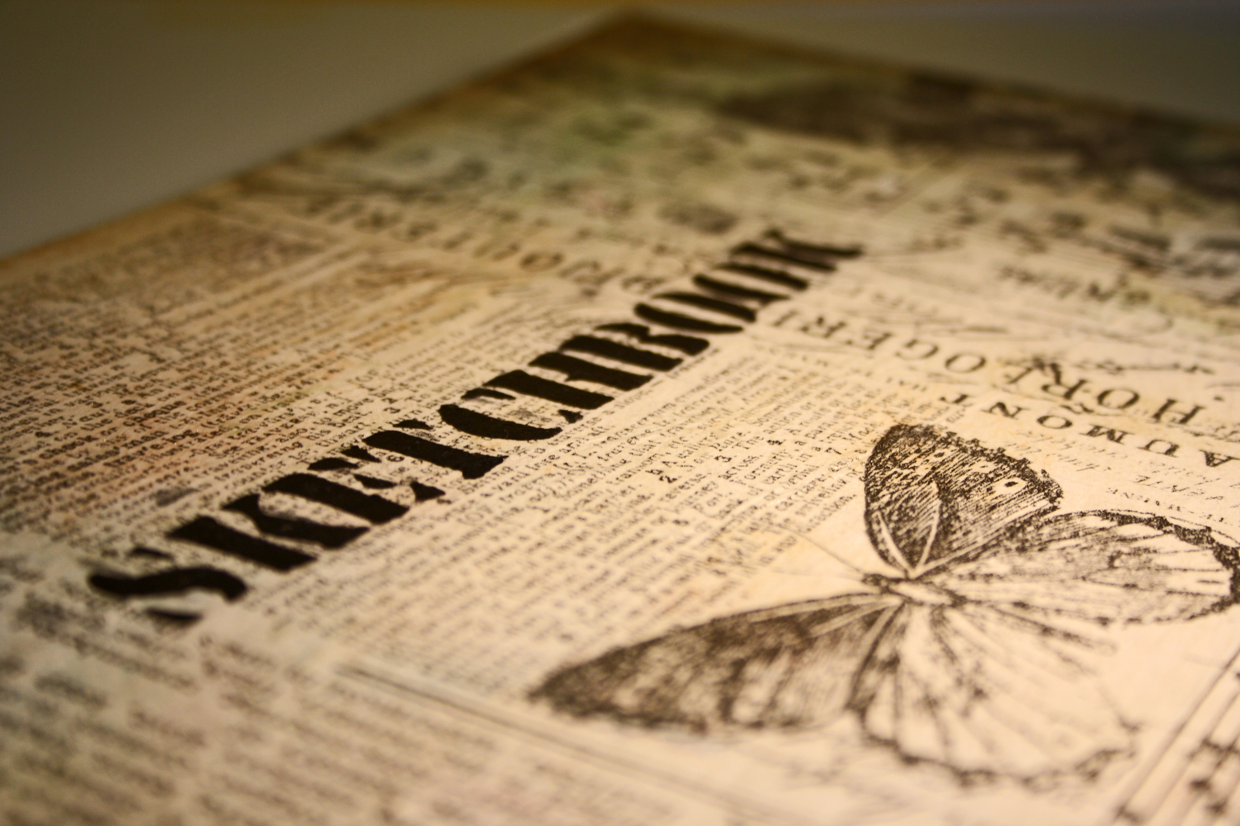Bookbinding - Sketchbook - Detail.jpg