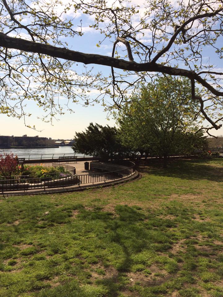 Morning Express Vinyasa Yoga