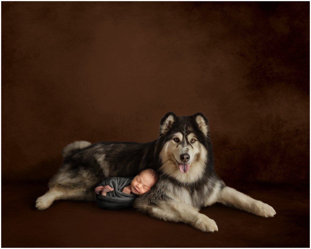 Can Newborns Be Around Dogs