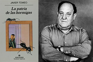 tomeo_01.jpg