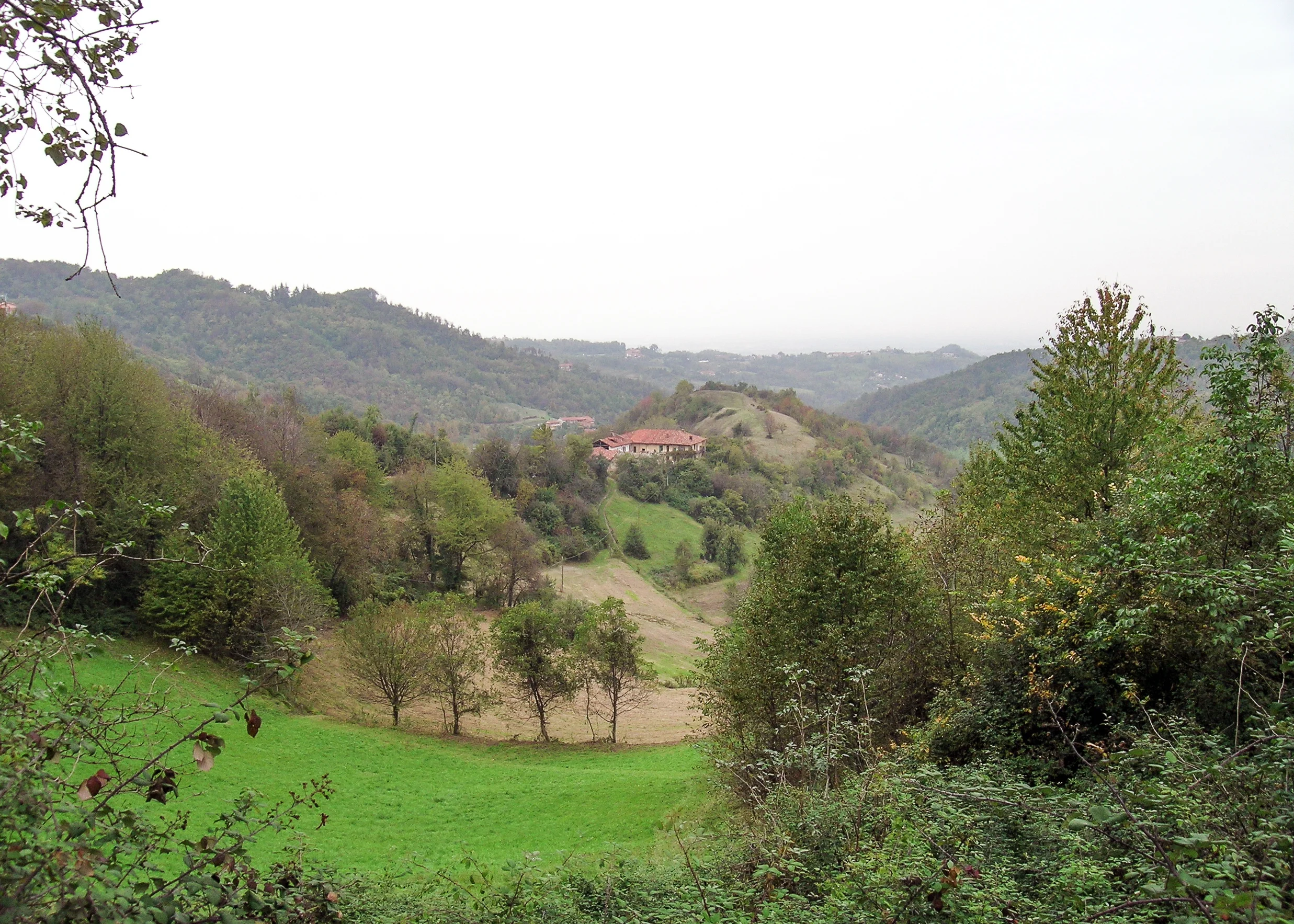 DSCN8642.jpg
