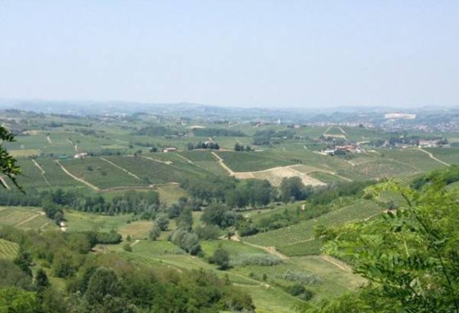 PAESAGGIO.jpg