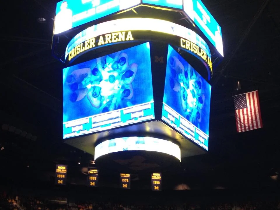 Significant NCAA Basketball Rule Changes for the 2015-2016 Season