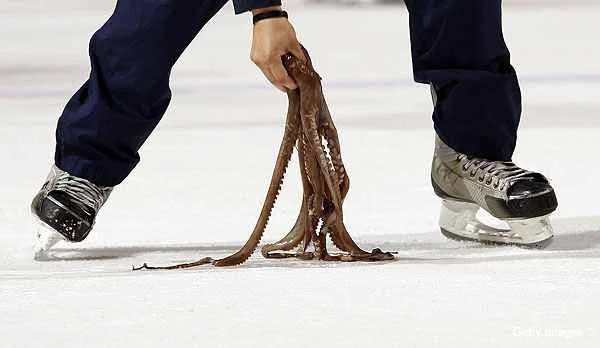 Throwing An Octopus (or Another NHL Team Spirit Animal) May Seem Harmless, But It Could Cost You