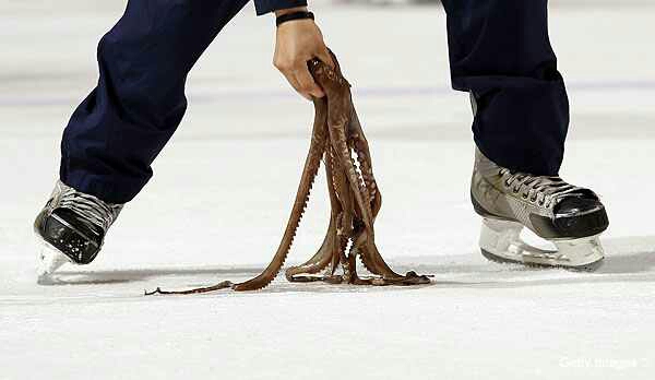 Source: https://www.yahoo.com/?err=404&err_url=http%3a%2f%2fsports.yahoo.com%2fnhl%2fblog%2fpuck_daddy%2fpost%2fnhl-vs-octopus-detroit-police-fine-red-wings-fan-500-for-toss%3furn%3dnhl%2cwp2695