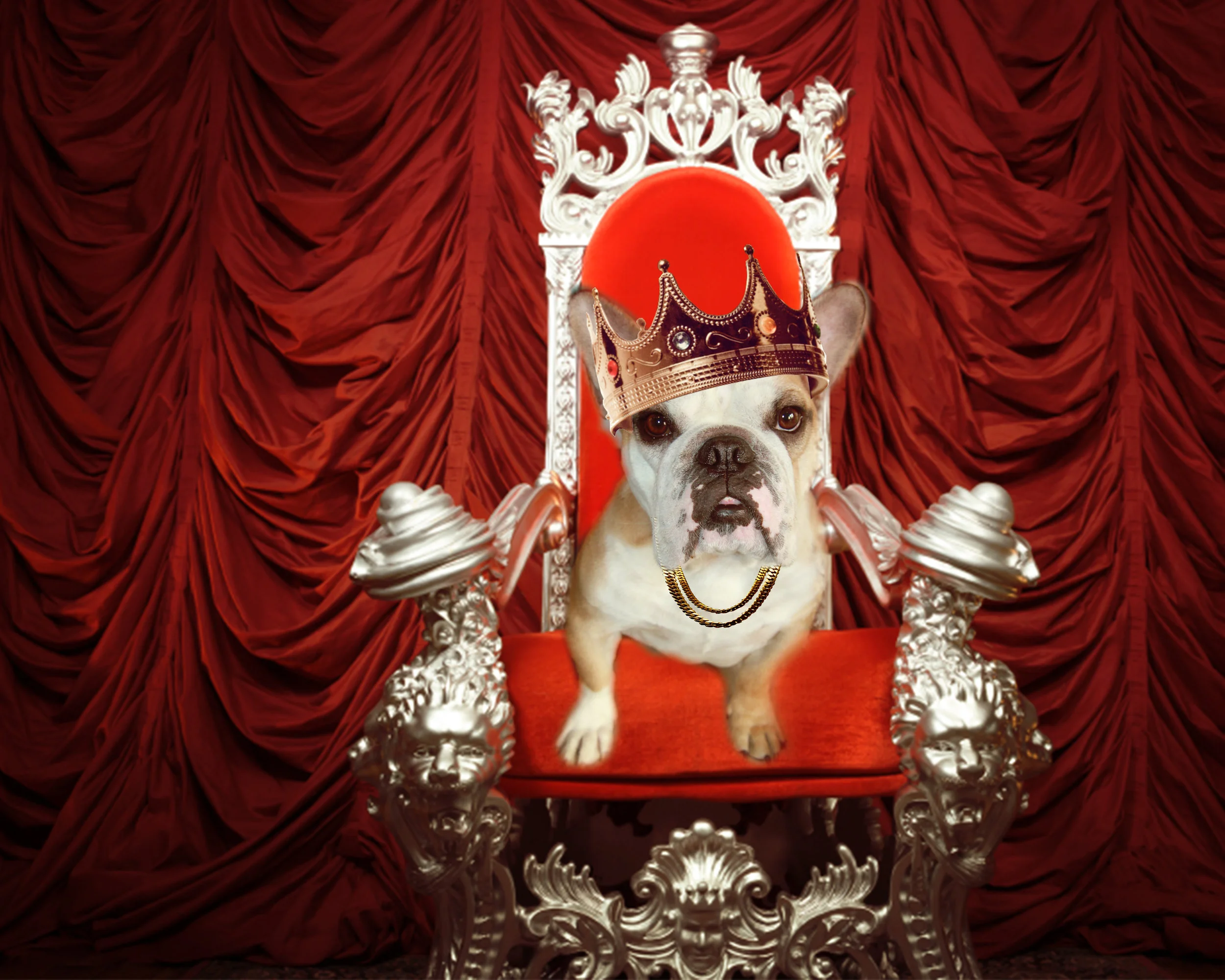 King willis