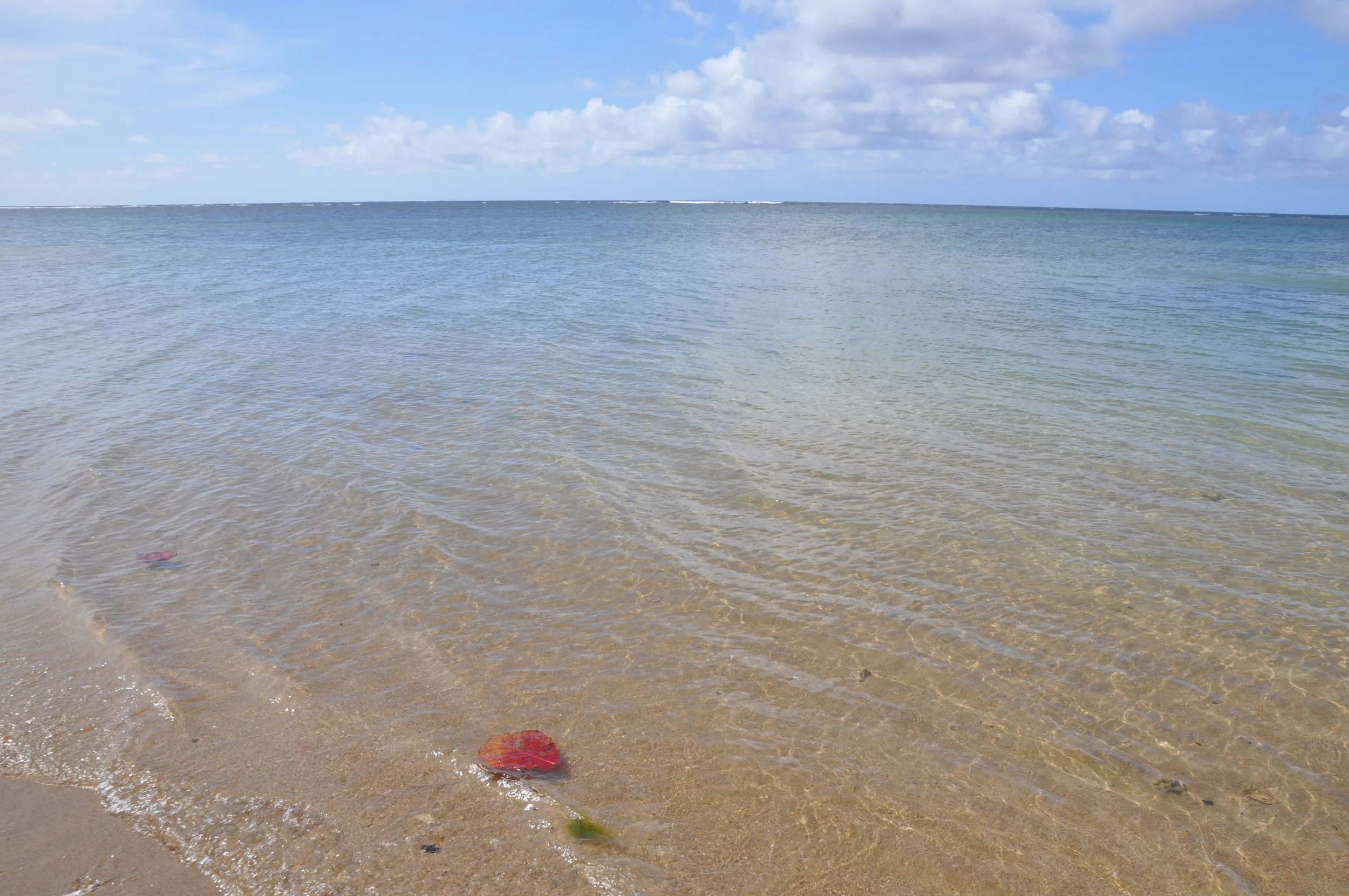 DSC_0113.JPG