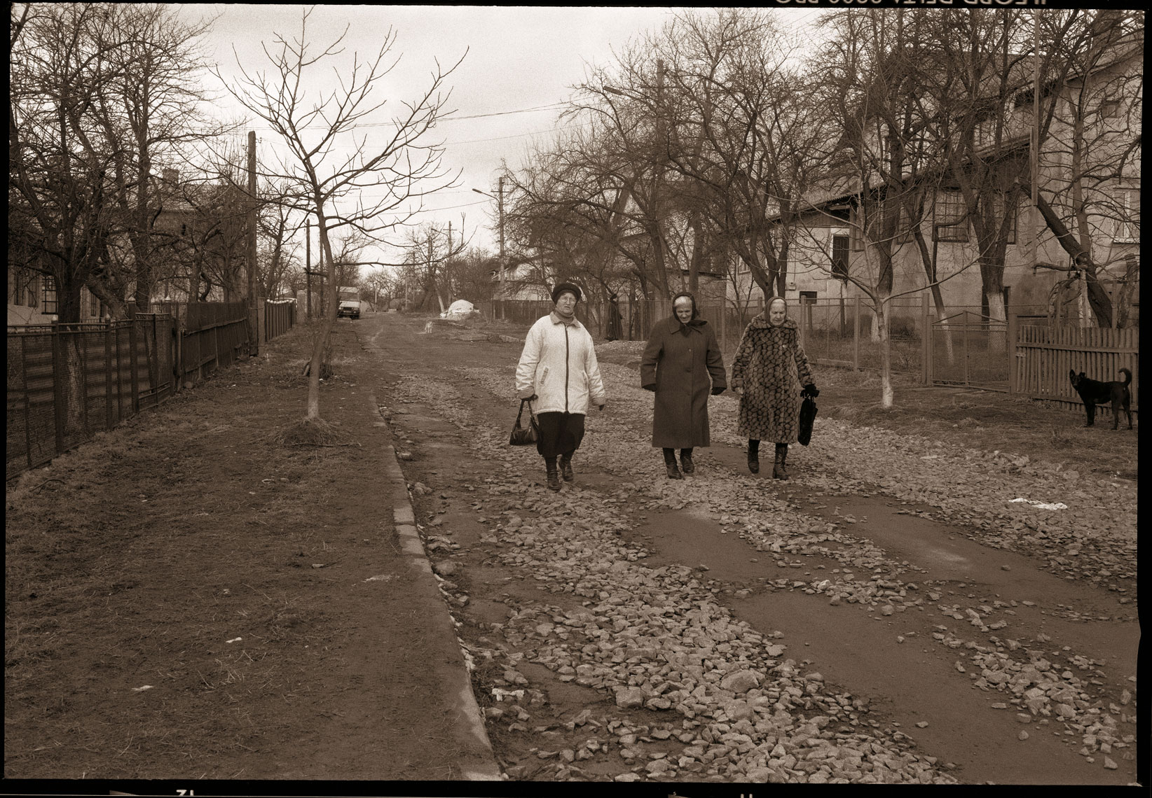 Women on Budivelna Street