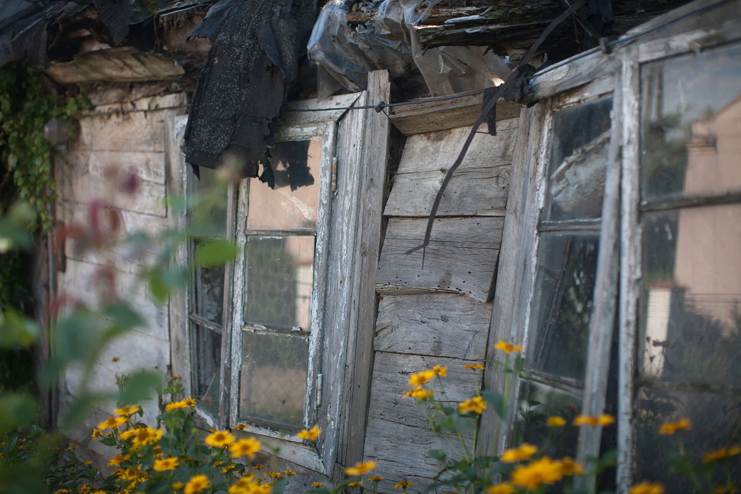 Shtetl