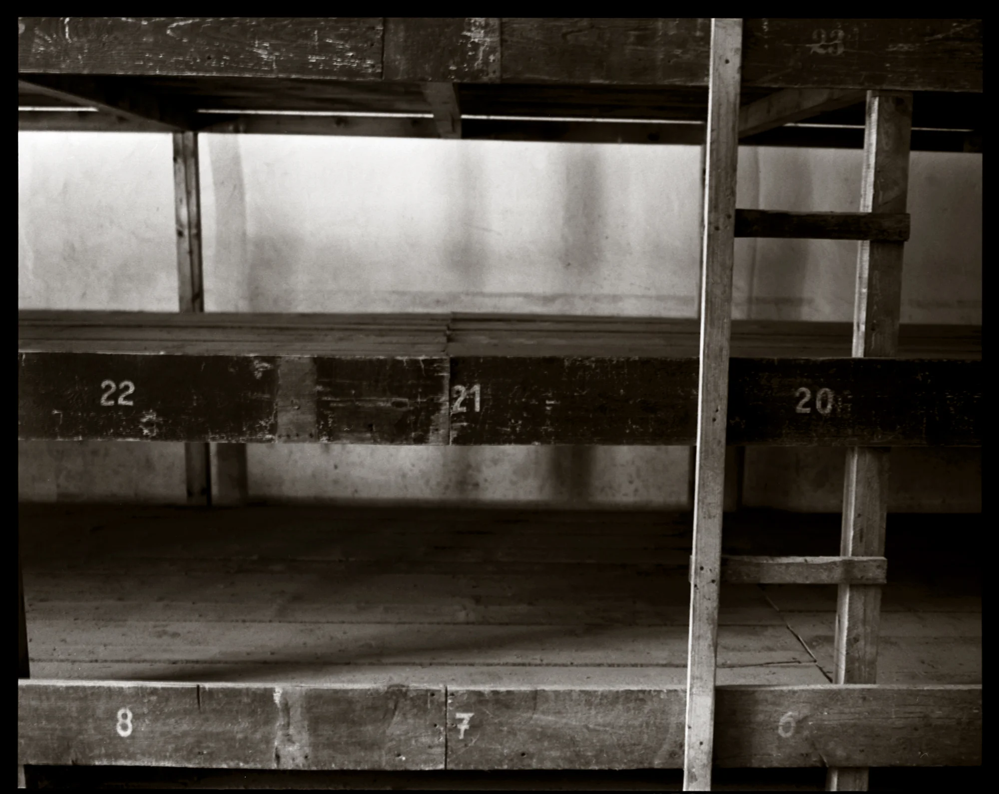 Sleeping Bunk