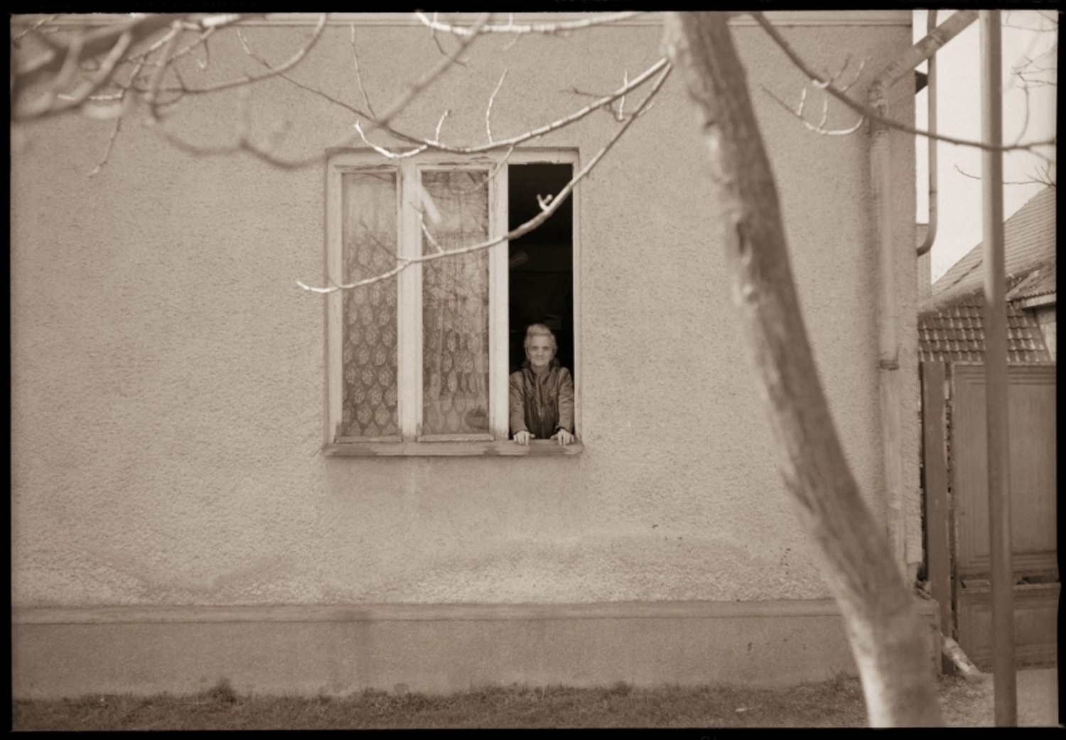 Helena at her Window