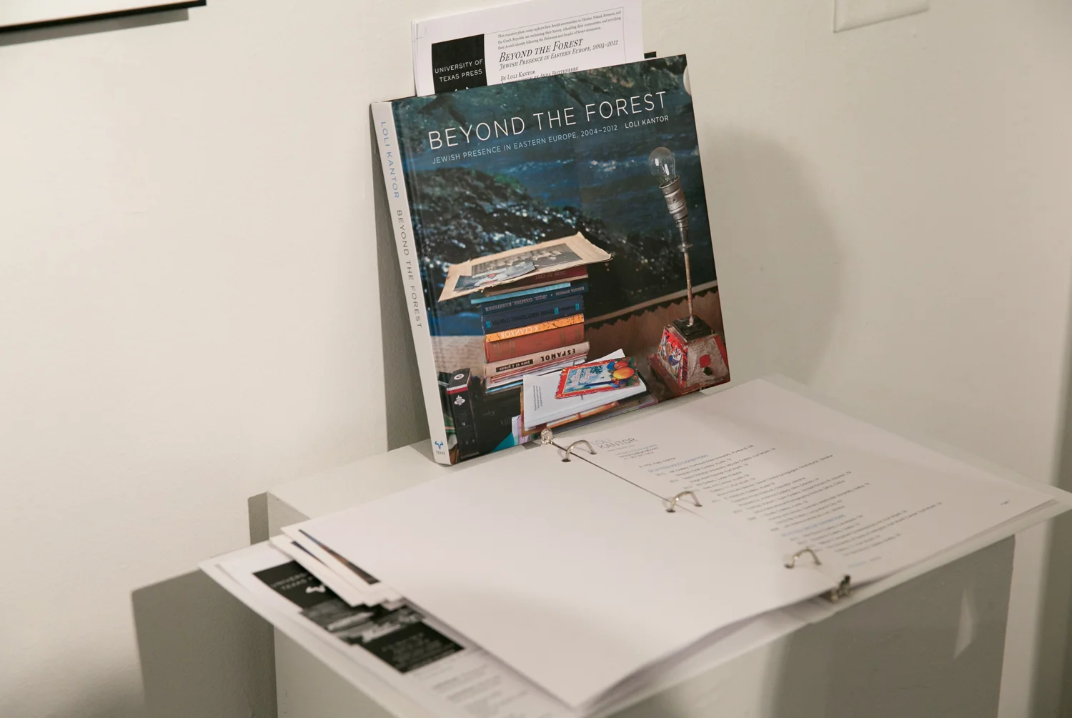 MK Gallery, P ortland, Oragon April 20 - April 30, 2015