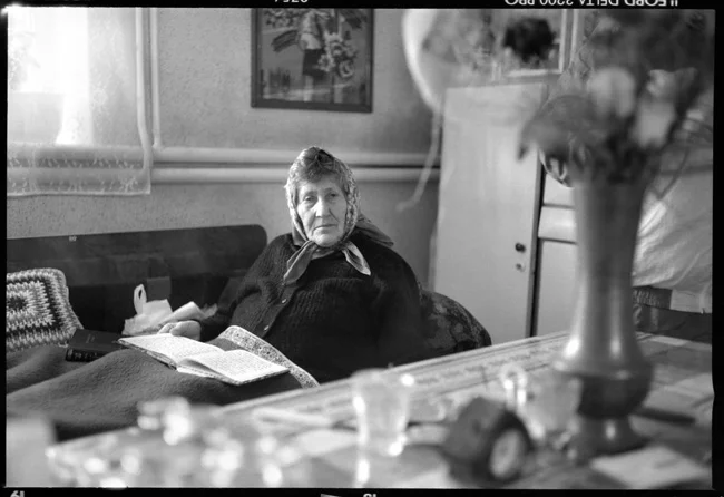 001kantor_vinogradiv_small.jpg