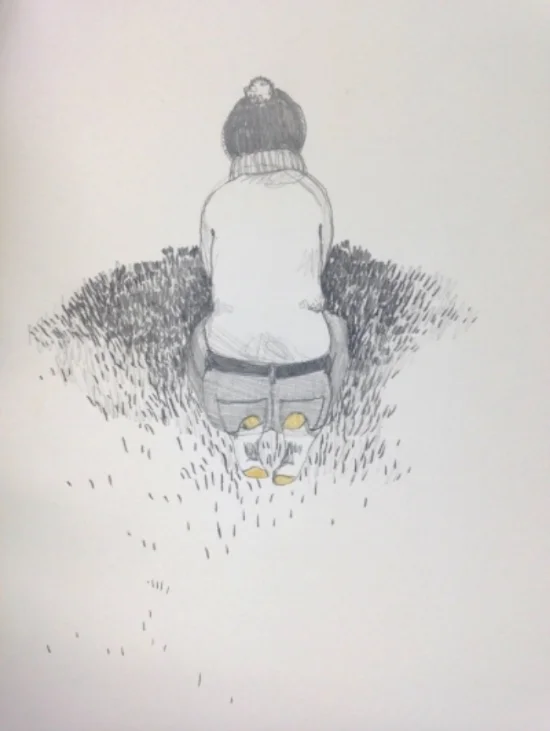 Illustration by S.H. Lohmann