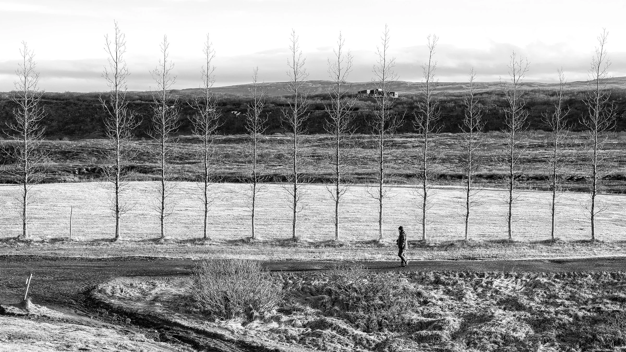 047A6698 bw wlayers framed.jpg