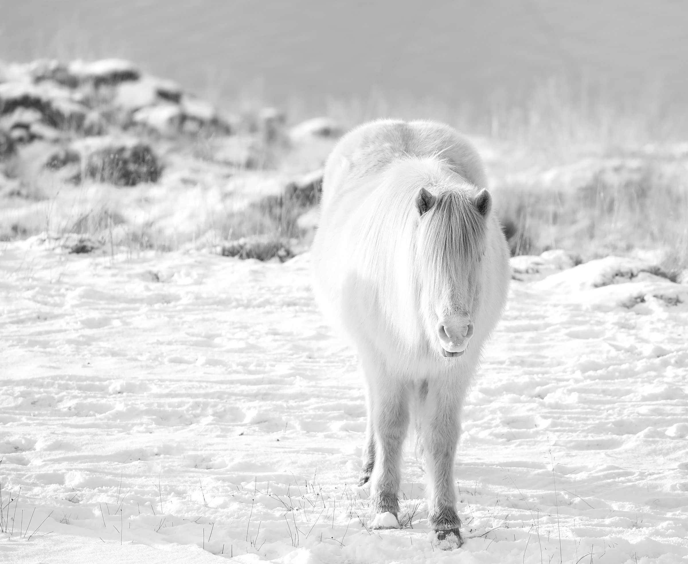 5O4A5083 bw wlayers framed.jpg