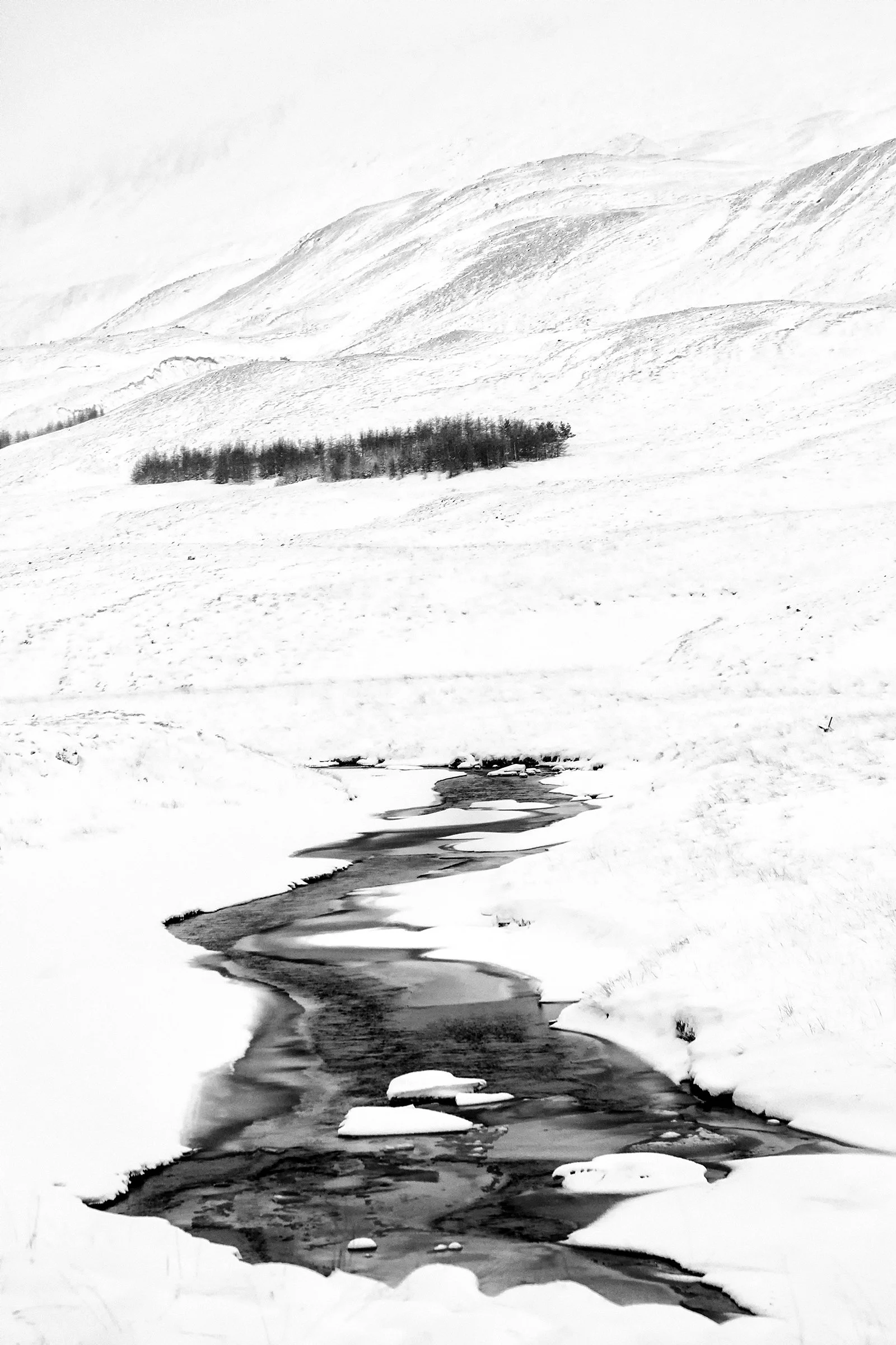 047A1606 bw wlayers framed.jpg