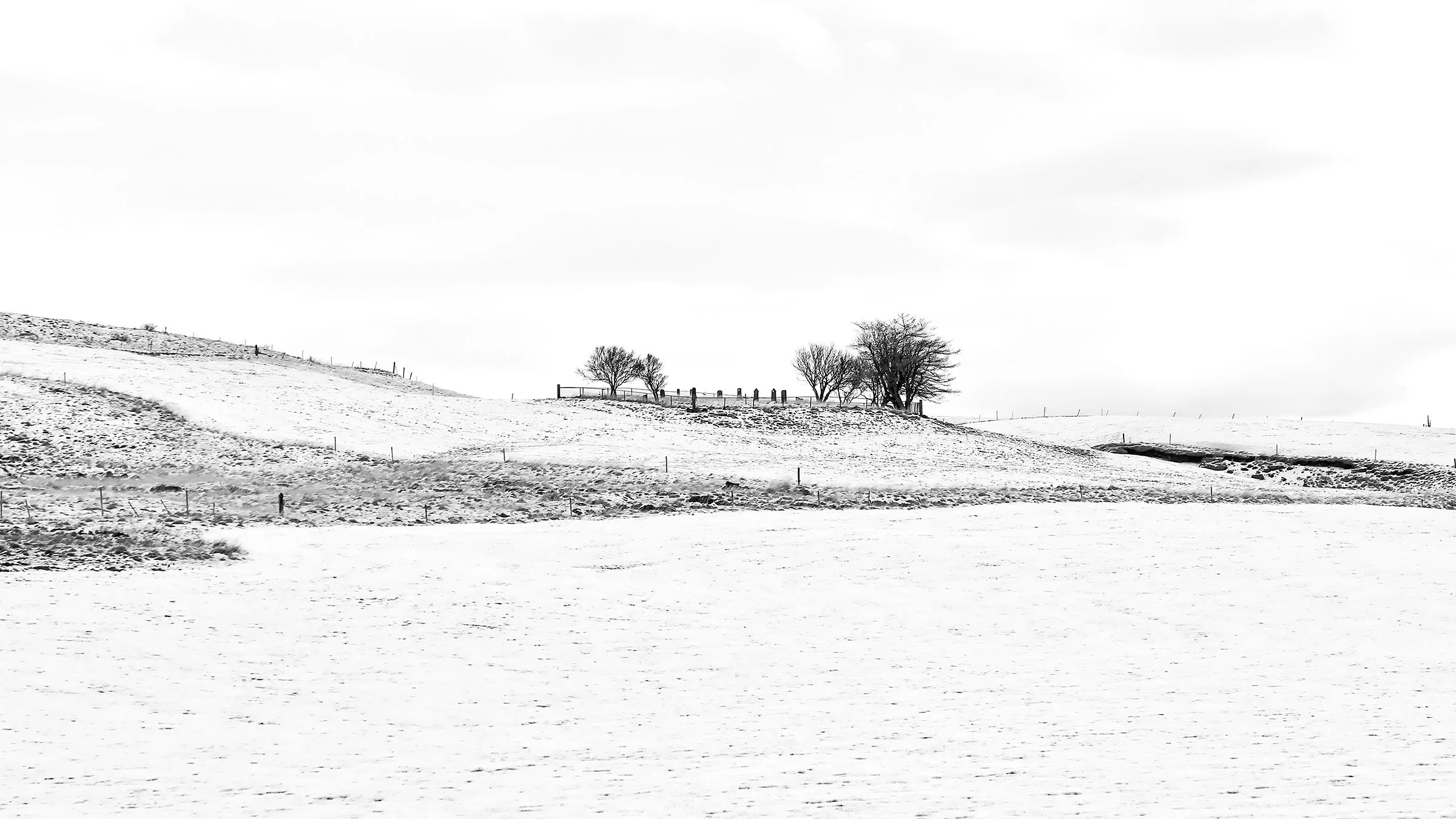 047A2221 bw wlayers framed.jpg