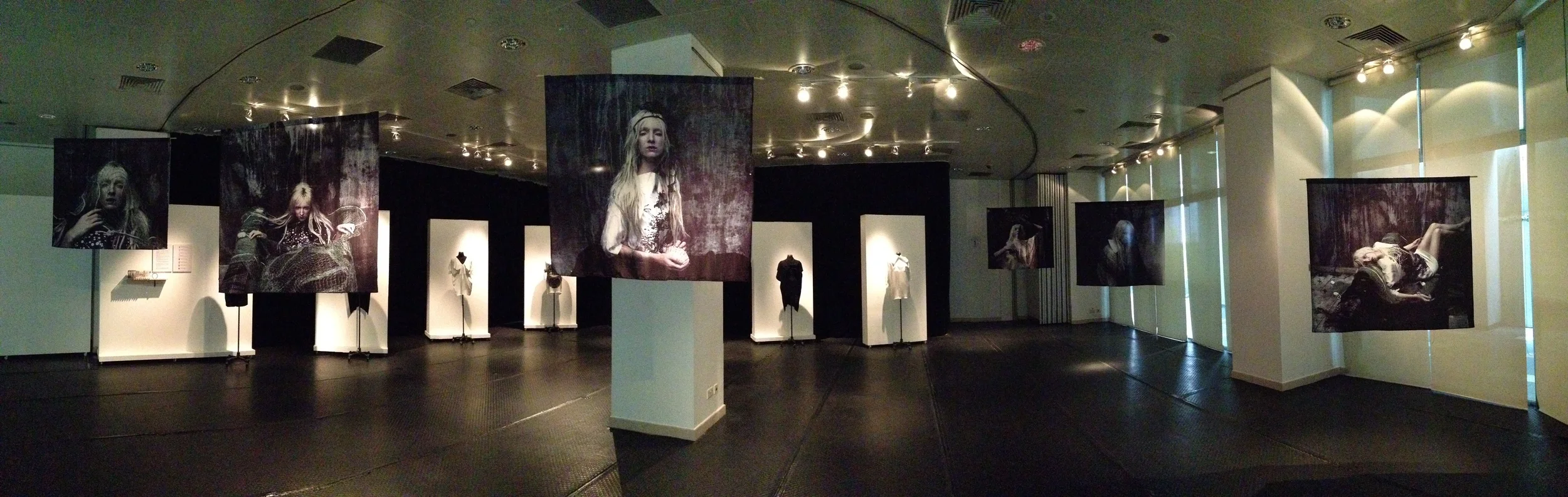  Exhibition at Nanyang Academy of Fine Arts, March 2015. 