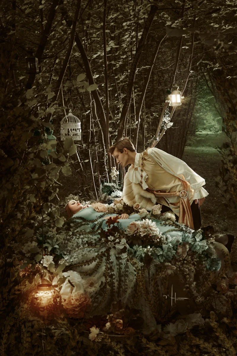 He knelt down quietly next her bed. This was indeed a Sleeping Beauty. He gently stroked her face, to see if he could wake her up. She remained asleep…