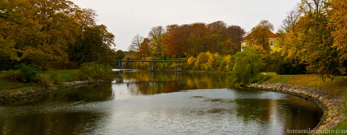 Fall Colors in the Park