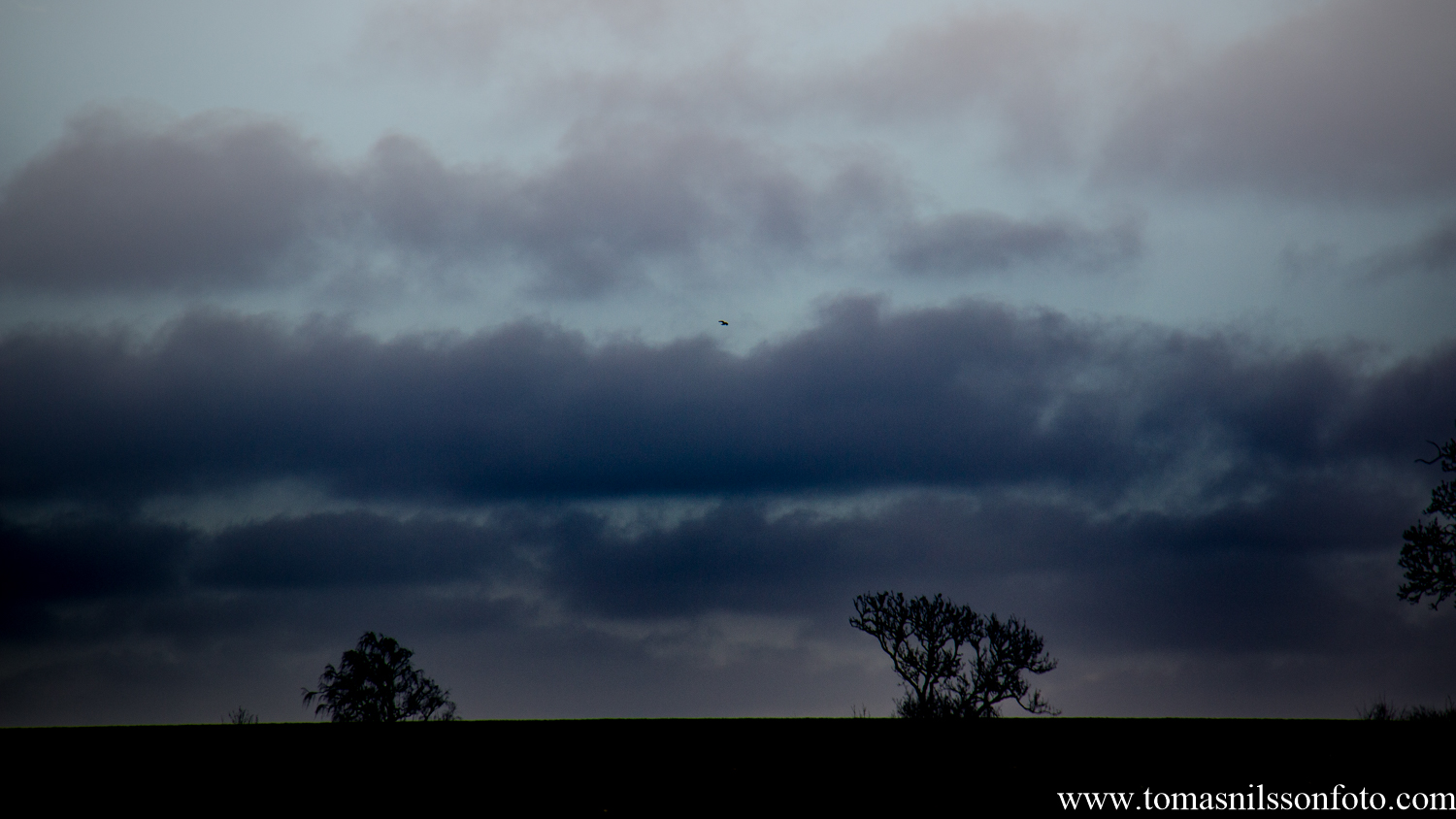 I may have tweaked this image "a bit" in Lightroom to make the sky somewhat more dramatic...