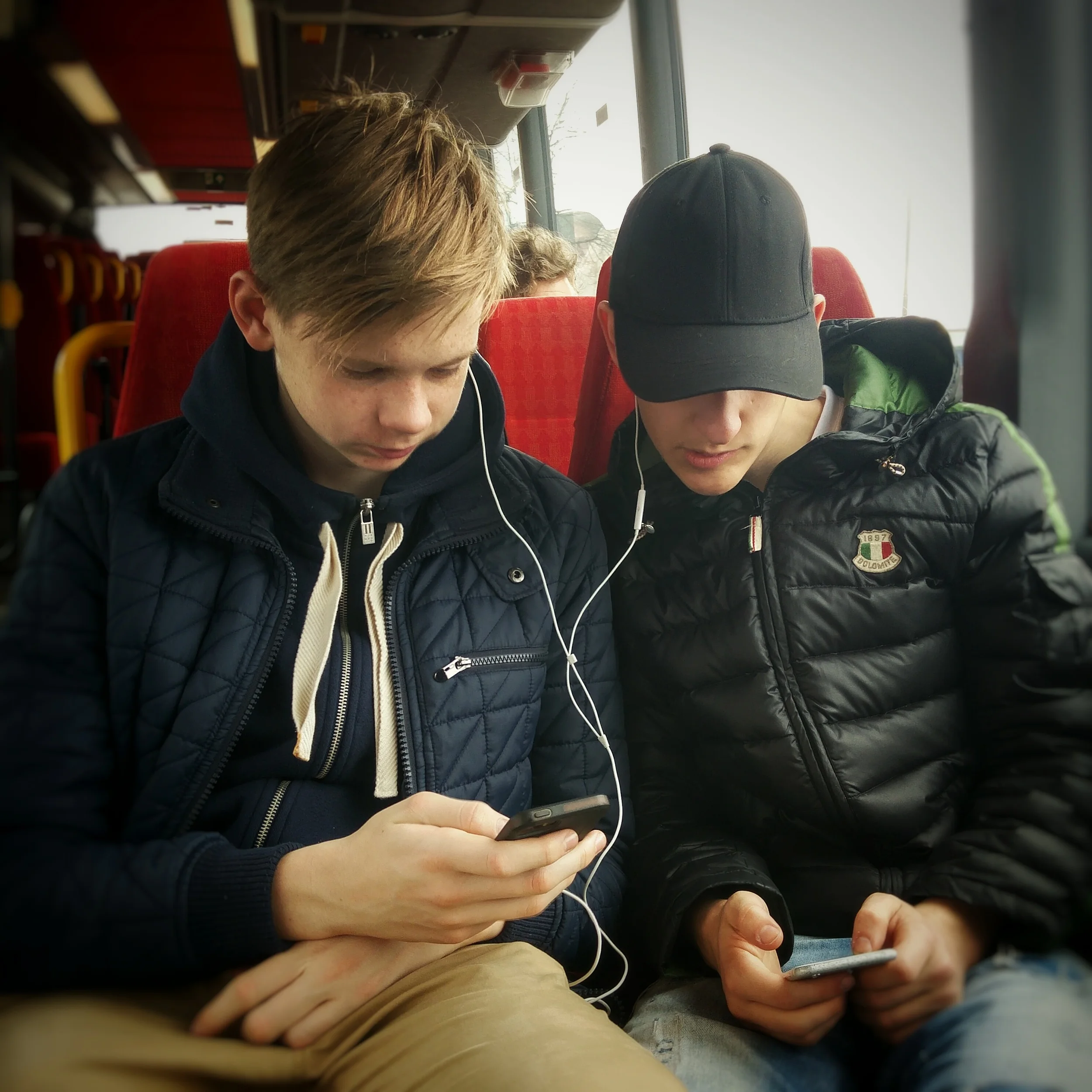 The 365 Project - March Wrap-Up