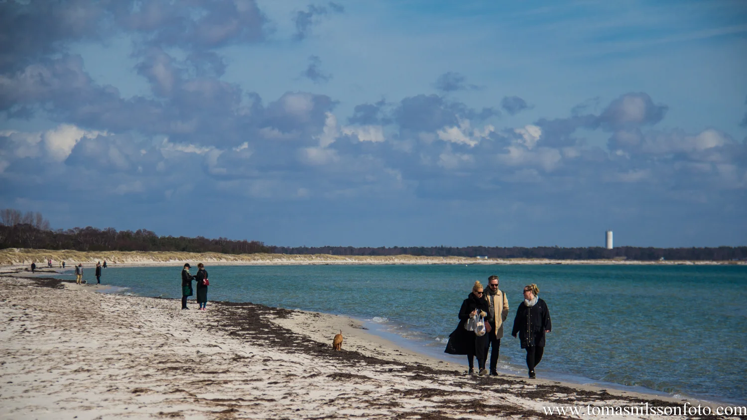 A Day at the Sea