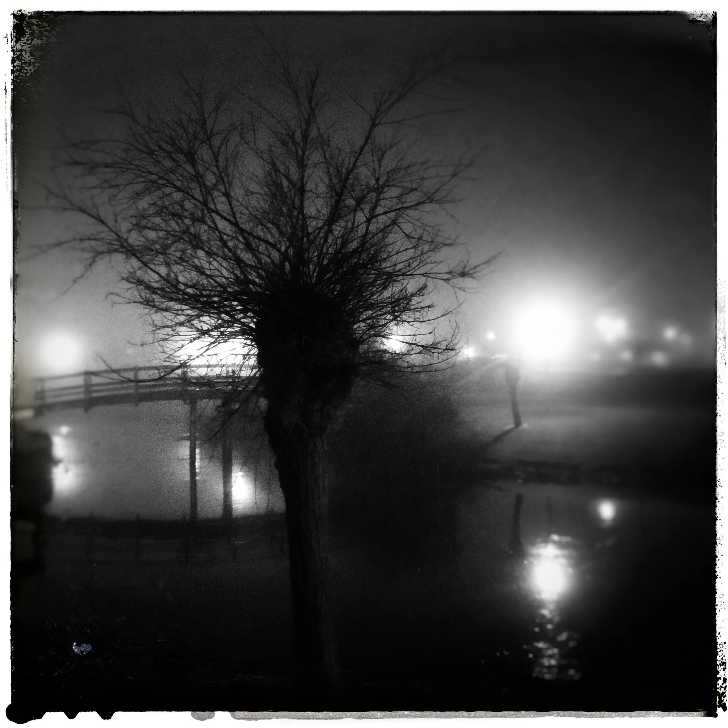 April 29 - Day 120; Foggy night