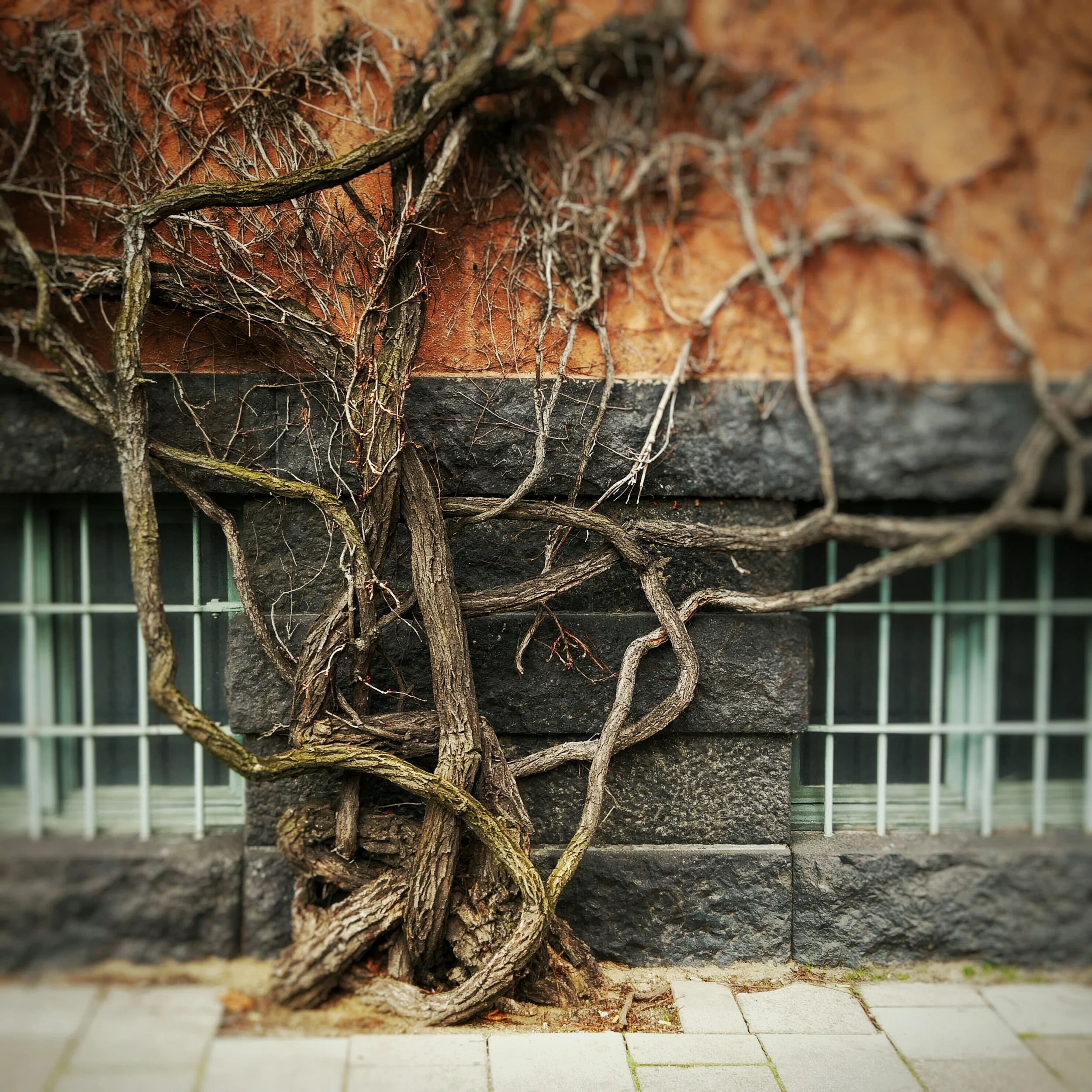 The 365 Project - April Wrap-Up