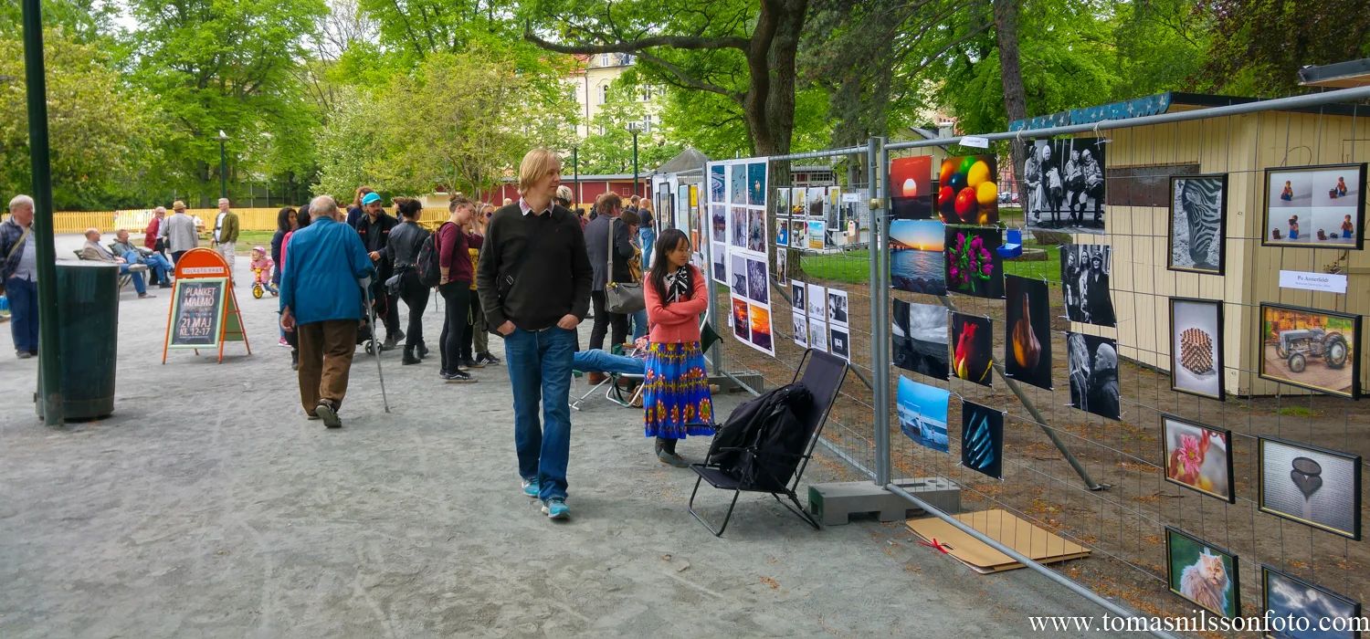 Showing photos at "The Plank"