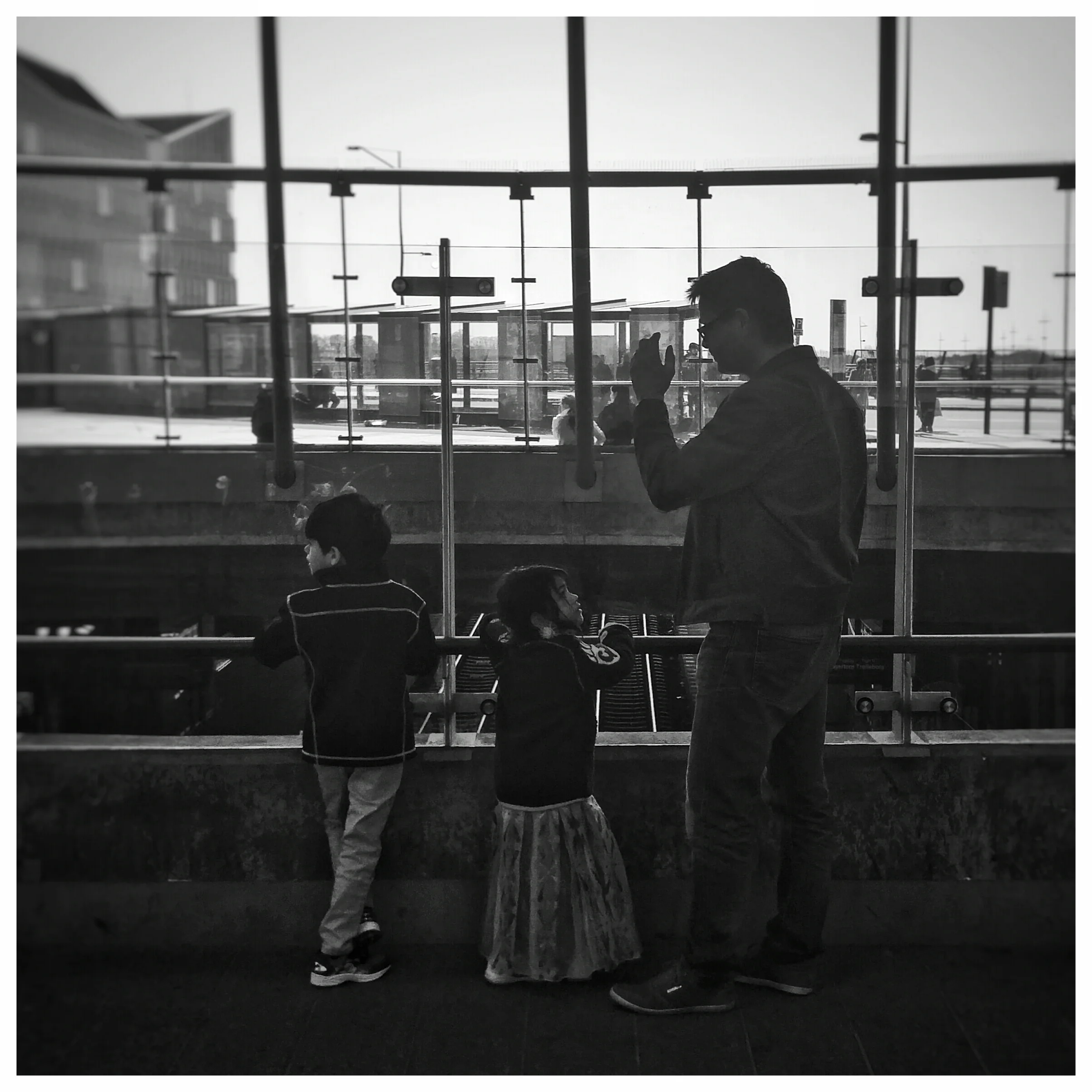 The 365 Project - May Wrap-Up