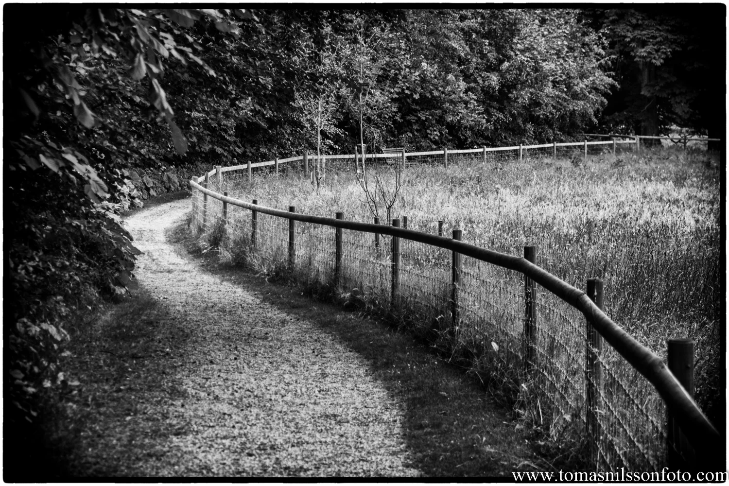 Stroll in the park