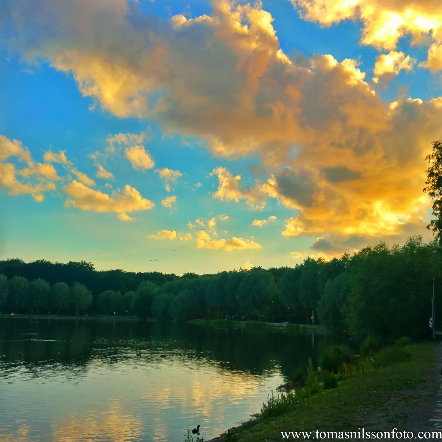 The 365 Project - June Wrap-Up